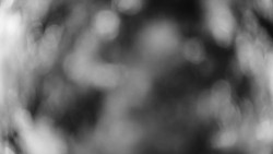 Troják, Maruška - meteo stanice