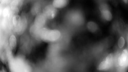 Troják, Maruška - meteo stanice