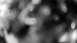 Troják, Maruška - meteo stanice