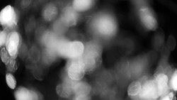 Troják, Maruška - meteo stanice