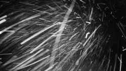 Troják, Maruška - meteo stanice