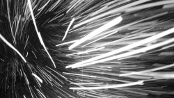 Troják, Maruška - meteo stanice