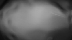 Troják, Maruška - meteo stanice