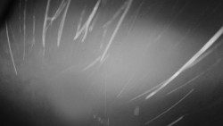 Troják, Maruška - meteo stanice