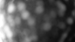 Troják, Maruška - meteo stanice