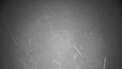 Troják, Maruška - meteo stanice