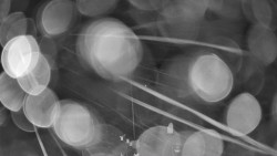 Troják, Maruška - meteo stanice