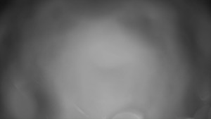 Skiareál Troják - Troják, Maruška - meteo stanice - 26.1.2026 v 06:05 Skiareál Troják - Troják, Maruška - meteo stanice - 26.1.2026 v 06:05