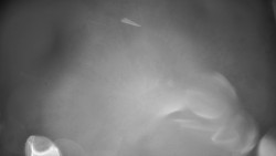 Troják, Maruška - meteo stanice