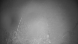 Troják, Maruška - meteo stanice