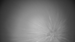 Troják, Maruška - meteo stanice