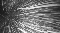 Troják, Maruška - meteo stanice