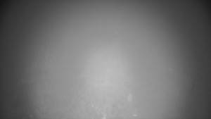 Skiareál Troják - Troják, Maruška - meteo stanice - 21.3.2026 v 03:15 Skiareál Troják - Troják, Maruška - meteo stanice - 21.3.2026 v 03:15