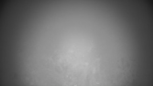 Skiareál Troják - Troják, Maruška - meteo stanice - 21.3.2026 v 03:30 Skiareál Troják - Troják, Maruška - meteo stanice - 21.3.2026 v 03:30