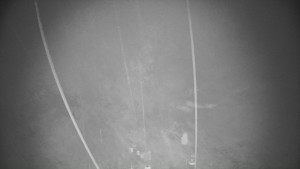 Skiareál Troják - Troják, Maruška - meteo stanice - 21.3.2026 v 05:05 Skiareál Troják - Troják, Maruška - meteo stanice - 21.3.2026 v 05:05