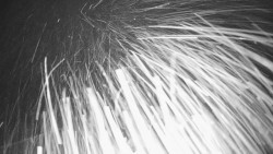 Troják, Maruška - meteo stanice