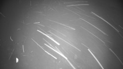 Troják, Maruška - meteo stanice