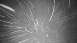 Troják, Maruška - meteo stanice