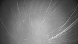 Troják, Maruška - meteo stanice