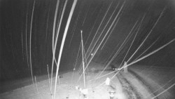 Troják, Maruška - meteo stanice