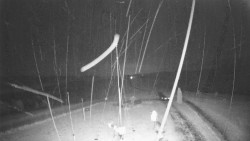 Troják, Maruška - meteo stanice