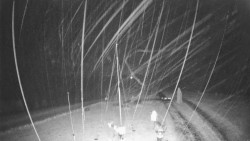 Troják, Maruška - meteo stanice