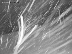 Spodní část sjezdovky č. 4