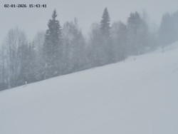 Spodní část sjezdovky č. 4