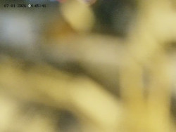 Spodní část sjezdovky č. 4