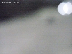 Spodní část sjezdovky č. 4