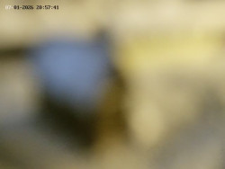 Spodní část sjezdovky č. 4