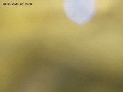 Spodní část sjezdovky č. 4