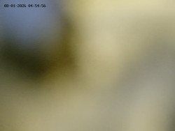 Spodní část sjezdovky č. 4