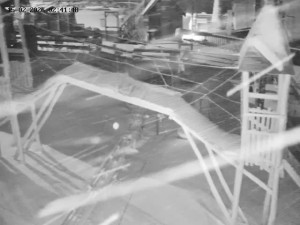 Skiareál Mosty u Jablunkova - Spodní část sjezdovky č. 4 - 15.2.2026 v 03:00 Skiareál Mosty u Jablunkova - Spodní část sjezdovky č. 4 - 15.2.2026 v 03:00