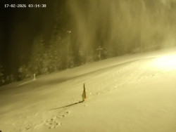 Spodní část sjezdovky č. 4