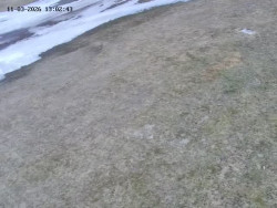 Spodní část sjezdovky č. 4