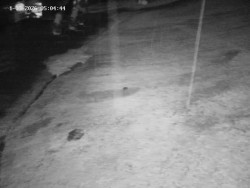 Spodní část sjezdovky č. 4