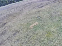 Spodní část sjezdovky č. 4