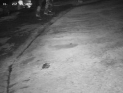 Spodní část sjezdovky č. 4