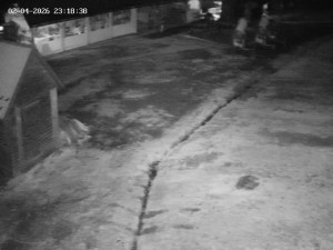 Skiareál Mosty u Jablunkova - Spodní část sjezdovky č. 4 - 3.4.2026 v 00:00 Skiareál Mosty u Jablunkova - Spodní část sjezdovky č. 4 - 3.4.2026 v 00:00