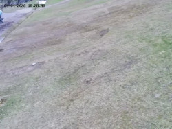 Spodní část sjezdovky č. 4