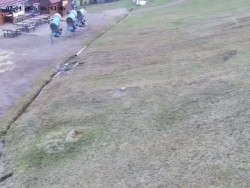 Spodní část sjezdovky č. 4