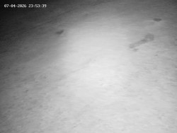 Spodní část sjezdovky č. 4