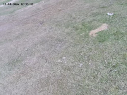 Spodní část sjezdovky č. 4