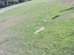 Spodní část sjezdovky č. 4