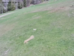 Spodní část sjezdovky č. 4