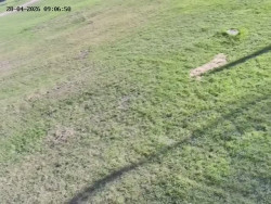 Spodní část sjezdovky č. 4