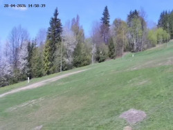 Spodní část sjezdovky č. 4