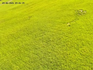 Skiareál Mosty u Jablunkova - Spodní část sjezdovky č. 4 - 9.6.2026 v 10:00 Skiareál Mosty u Jablunkova - Spodní část sjezdovky č. 4 - 9.6.2026 v 10:00