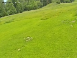 Spodní část sjezdovky č. 4